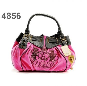 juicy handbags339